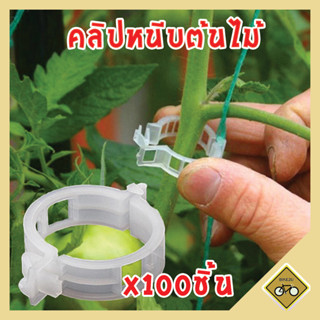 X100ชิ้น คลิป หนีบต้นไม้ รัดกิ่ง แหวนรัดกิ่ง เทปรัดกิ่ง พร้อ…