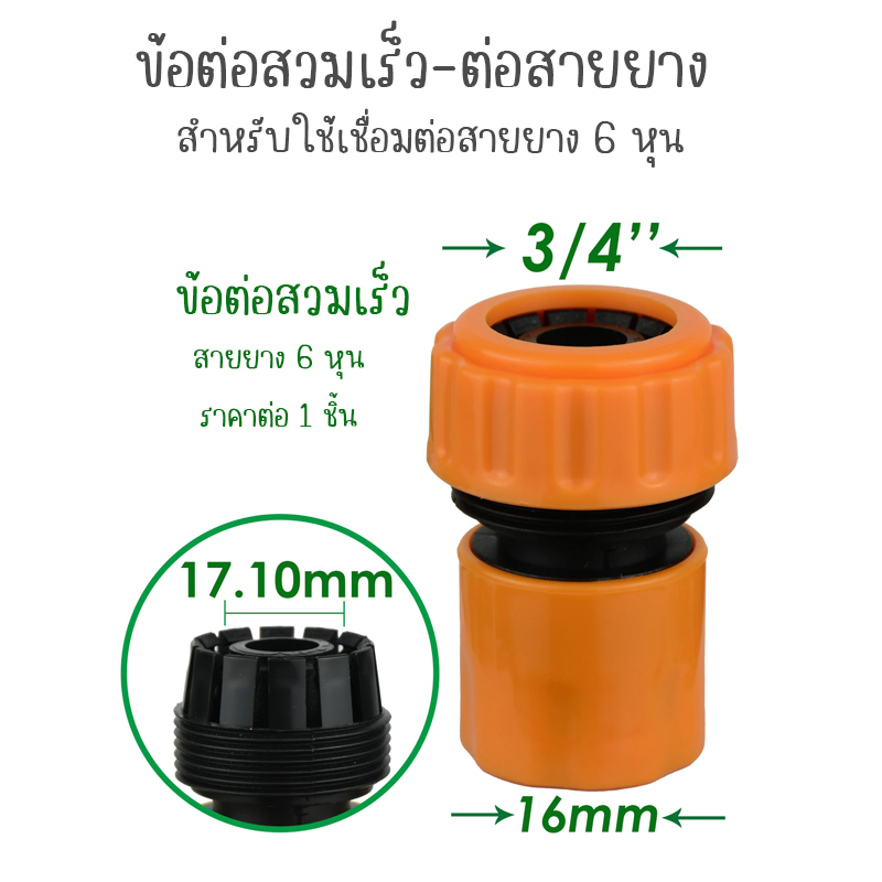 รูปภาพ 9