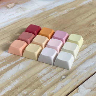 พร้อมส่ง Keycap PBT Blank XDA Profile ขนาด 1U มี 43 สี สีพาสเทล​ คีย์แคป​ ปุ่มกด​ คีย์บอร์ด​ เปล่า Keycaps