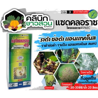 🥬 แซดคลอราซ45 (โพรคลอราซ) บรรจุ 1ลิตร กำจัดโรคช่อดำ/ราดำ เมล็ดด่าง ราสนิมข้าวโพด