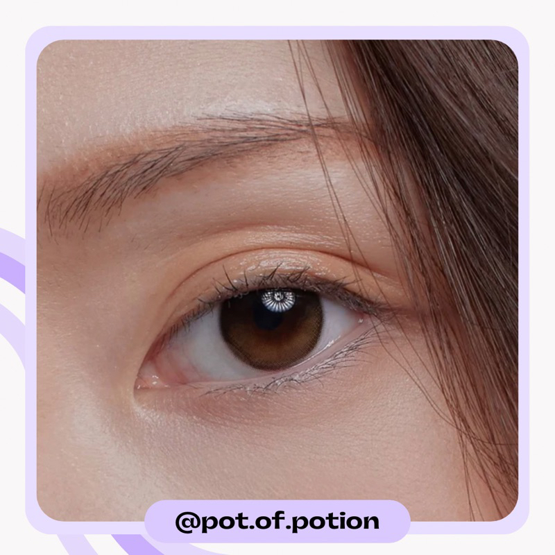 พร้อมส่ง Hapa Kristin — Secretive Kristin สี Creme Brown รุ่น 1 day / เลนส์ รายวัน - รูปที่ 4