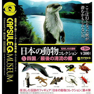 (มีของพร้อมส่ง) Gashapon กาชาปองตุ๊กแกญี่ปุ่น Animals Of Japan Vol.04 Capsule Q Museum Kaiyodo โมเดลสัตว์