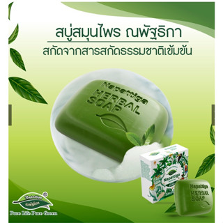 Napattiga Herbal Soap ณพัฐธิกา เฮอร์เบิ้ล โซฟ