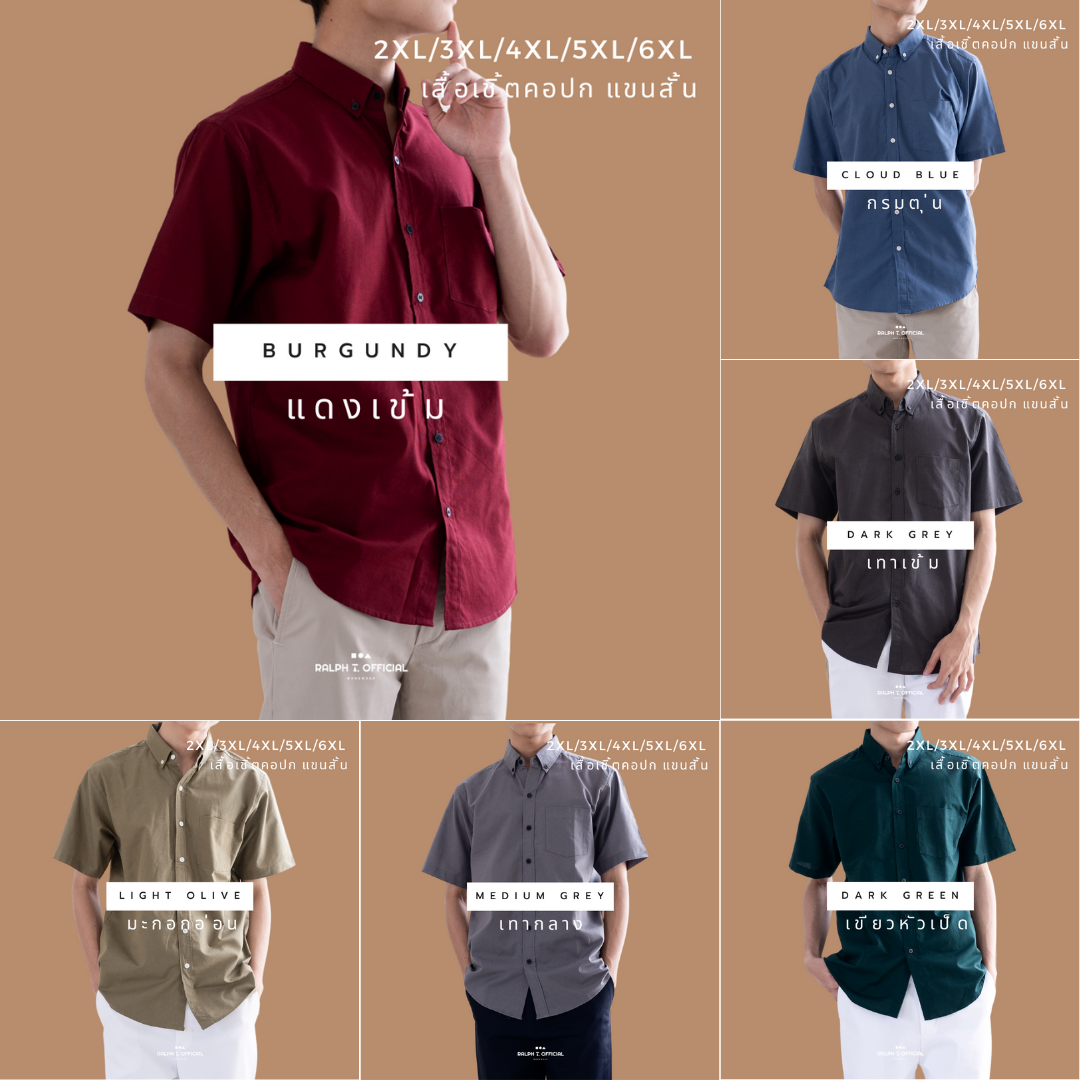 รูปภาพ 5