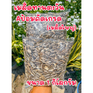 เมล็ดทานตะวัน  Aป้อม