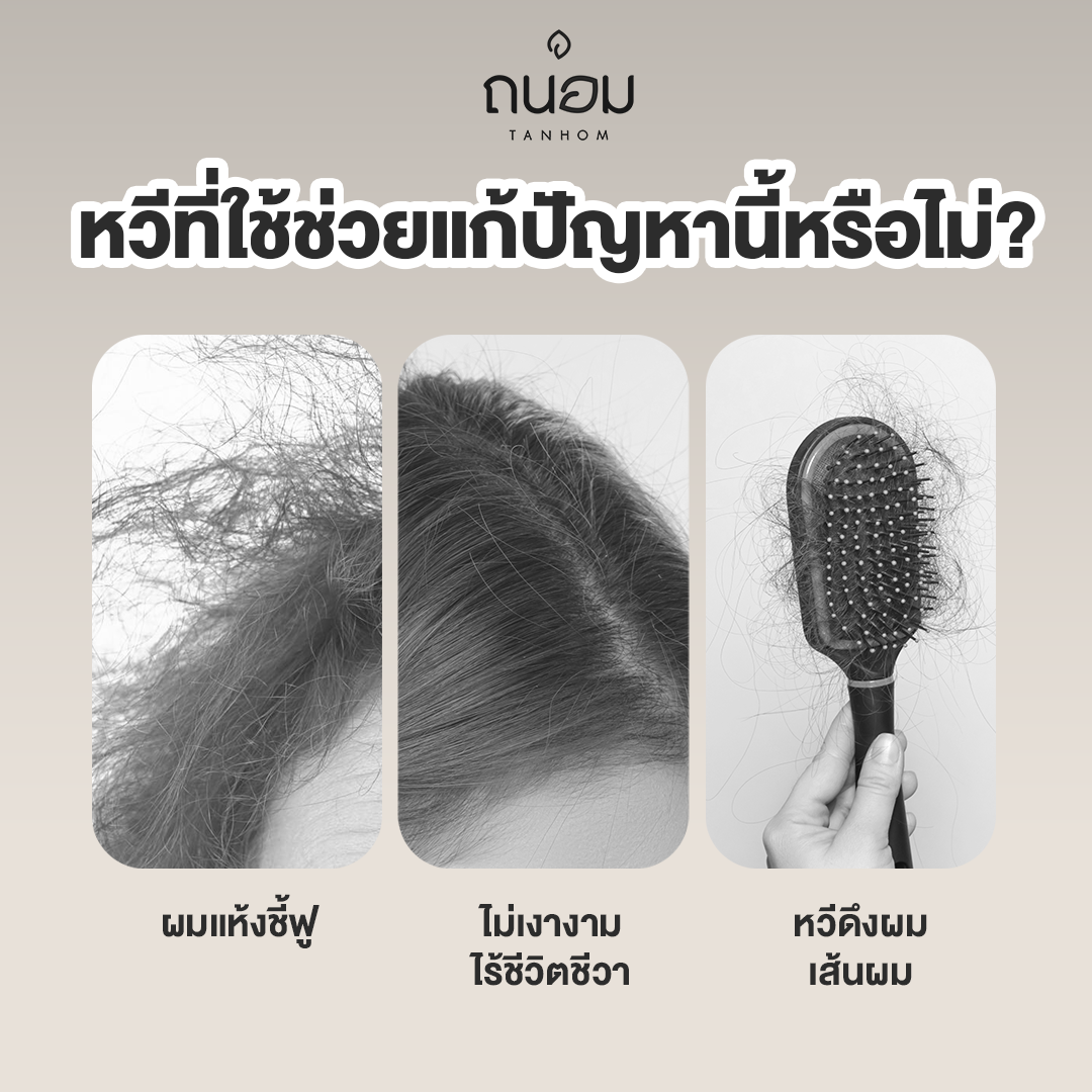 หวีขนหมูป่าแท้ Boar bristal by Tanhom รูปที่ 2