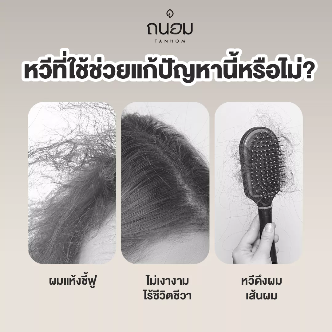 หวีขนหมูป่าแท้ Boar bristal by Tanhom thumbnail 4
