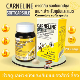 Carneline Soft Capsule อาหารเสริมสำหรับบำรุงเส้นขน และสุขภาพผิวหนังสำหรับสุนัขและแมว ขนมันสวย ผิวไม่แห้ง บรรจุ 20 แคปซูล