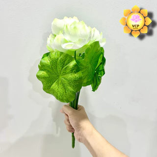 ช่อดอกบัว (ช่อคู่) ดอกบัวผ้า บงกช