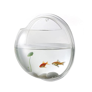 Fish Bubble : FBBAMZ001* โถใส่ปลาติดผนัง Fish Bubble Wall Mounted Acrylic Fish Bowl