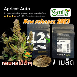 เมล็ดกัญชา Apricot (Auto) - Fastbuds ใหม่ 2023