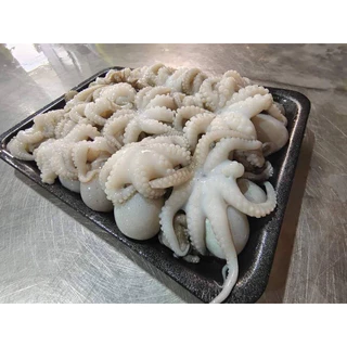 หัวหมึกสาย 500กรัม🐙 อร่อยกรุบกรอบ พร้อมส่ง หมึกสาย หมึกสายแช่แข็ง ปลาหมึก 🚛เหมาค่าส่ง ฟรีกล่องโฟม!! ทุกจังหวัดทั่วไทย🎉