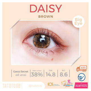 Daisy Brown/Gray by Tatoto ของแท้100% มีอย.ไทย