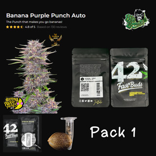 เมล็ดกัญชา Banana Purple Punch Auto - Fastbuds แพ็ค 1 เมล็ด