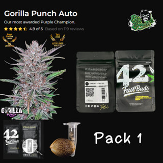 เมล็ดกัญชา Gorilla Punch Auto - Fastbuds แพ็ค1เมล็ด