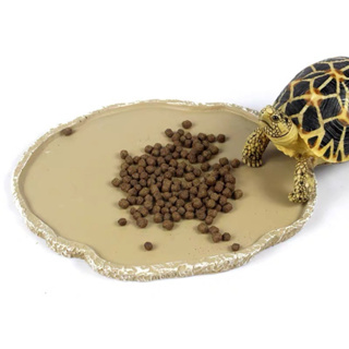 ถาดอาหาร ถาดน้ำ [แบบเตี้ย]​ แบน​ สำหรับเต่าบกเด็กขึ้นสูงไม่ไ…