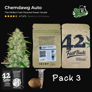 เมล็ดกัญชา Original Chemdawg (Auto) - Fastbuds แพ็ค3เมล็ด