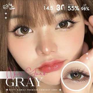 New York Gray Brown by Kitty kawaii เลนส์ฟิลเตอร์