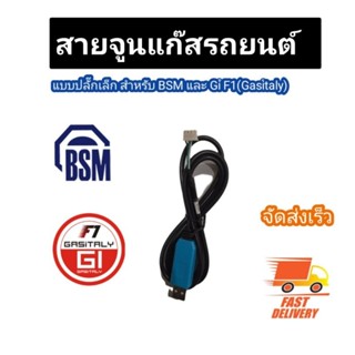 สายจูนแก๊ส BSM และ Gi F1(Gasitaly)