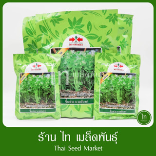 ขึ้นฉ่าย นวลจันทร์ คื่นช่าย เมล็ดพันธุ์ ขึ้นฉ่าย ตรา ศรแดง บรรจุ 350 / 50 กรัม