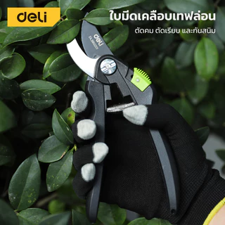 Deli กรรไกรตัดกิ่งไม้ กรรไกรแต่งกิ่ง อุปกรณ์ทำสวน แต่งต้นไม้ ด้ามจับถนัดมือ SK5 Pruning Shears