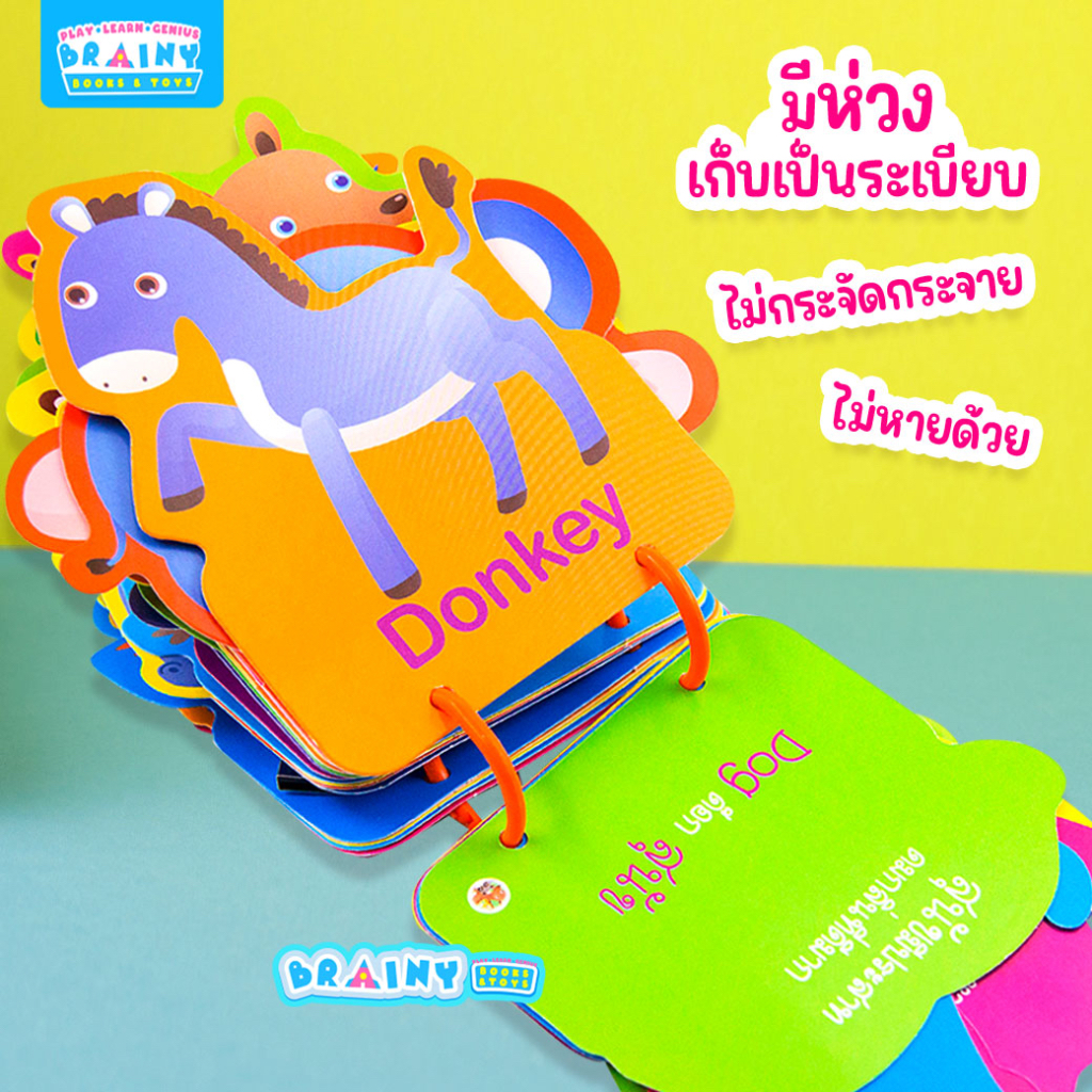 BrainyToys بطاقات مفردات للأطفال 5 فئات — صورة 4