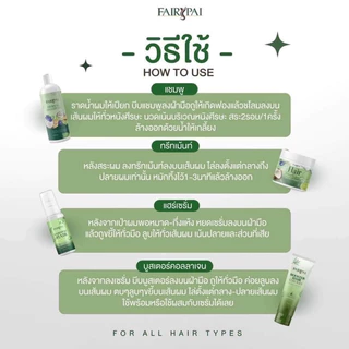 (🍃พร้อมส่ง ) แท้💯 แฟรี่ปาย 4 Step ผมสวย Fairypai เร่งผมยาว ลดผมร่วง ลดผมชี้ฟู นุ่มลื่น เงางาม ลดผมแตกปลาย