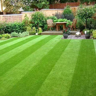 หญ้าเทียม 2x25m. หญ้าเหมือนจริง หญ้า สนามหญ้า สนาม สวน artificial grass พื้นหญ้า สนามฟุตบอล ฉาก สวนหญ้า