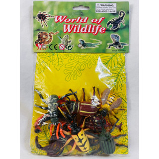 World of Wildlife โมเดลแมลงหลากหลายพันธุ์ มีแมลงถึง 8 ตัวในชุด โมเดลสัตว์ป่าประเภทแมลง เหมือนจริงมากค่ะ