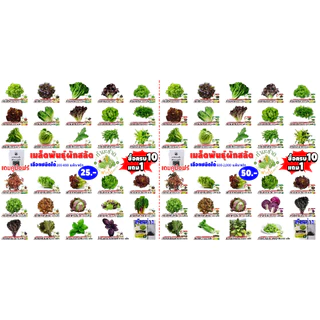 (ฟรีคู่มือ 10แถม1) ซอง 200-800เมล็ด เมล็ดพันธุ์ ผักสลัด ทำมะชาดฟาร์ม กรีนโอ๊ค เบบี้คอส สวิสชาร์ด ผักกาดหอม ไฮโดรโปรนิกส์