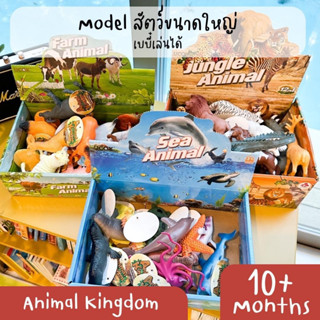 ชุดโมเดลสัตว์จัมโบ้ Animal Kingdom เรียนรู้หมวดสัตว์หลากหลายชนิด (หมวดละ 12 ชิ้น)