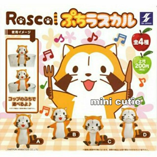 Rascal the Raccoon กาชาปอง 4 แบบ งานแท้ jp