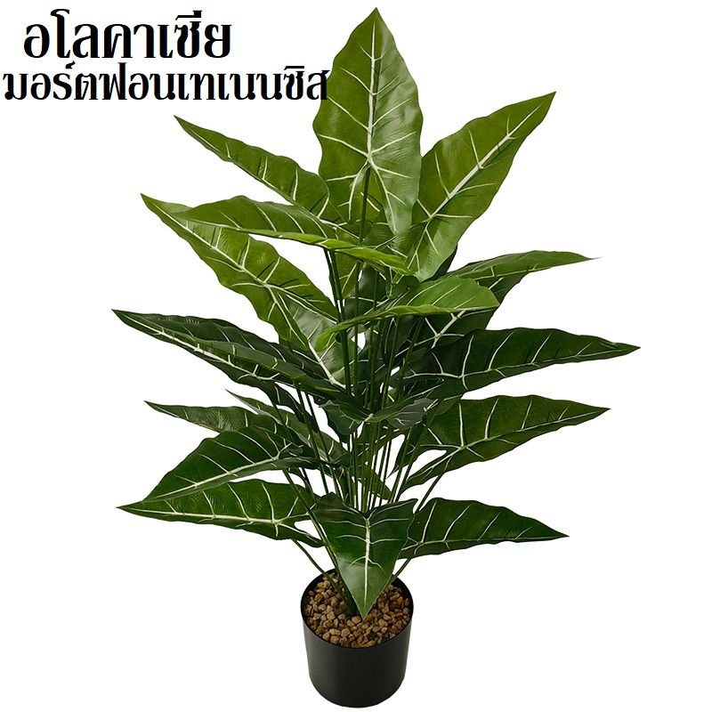 TR-106*พร้อมส่ง*ต้นไม้ปลอมอโลคาเซียมอร์ตฟอนเทเนนซิส 24 ใบ,18ใบ,12ใบ สูง 86ซม.,75ซม.60ซม.