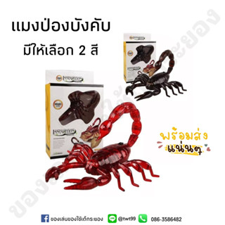 ของเล่นเด็ก แมงป่องบังคับ INNOVATION Scorpion ตามีไฟ เดินได้จริง🦂🦂