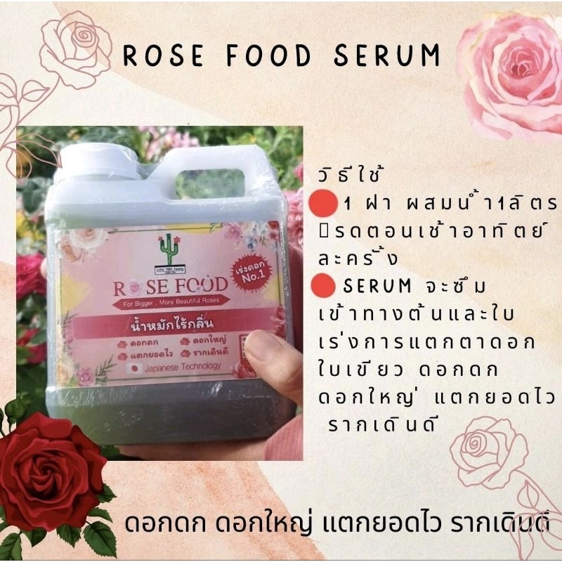 rose Food Serum น้ำ น้ำหมักไร้กลิ่น บำรุงดิน บำรุงดอก