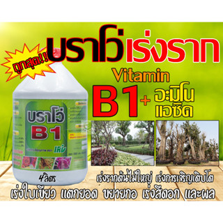 น้ำยาเร่งราก สูตรเข้มข้น บราโว่ B-1 Plus Super Start ขนาด 4 ลิตร เหมาะกับพืชใหญ่ ต้นไม้ใหญ่