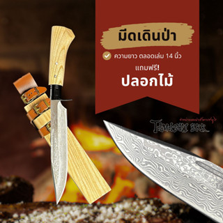 Tamashi BKK - มีดเหล็กดามัสกัส ตีทบ เดินป่า ทรงปลายแหลม ปลอกไม้พร้อมเข็มขัดรัดสุดคลาสสิก อุปกรณ์ตั้งแคมป์ Camping