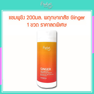 แชมพูขิง 200มล. พฤกษาเภสัช Ginger 1 ขวดราคาสุดพิเศษ ลดราคาถูกสุดๆๆ