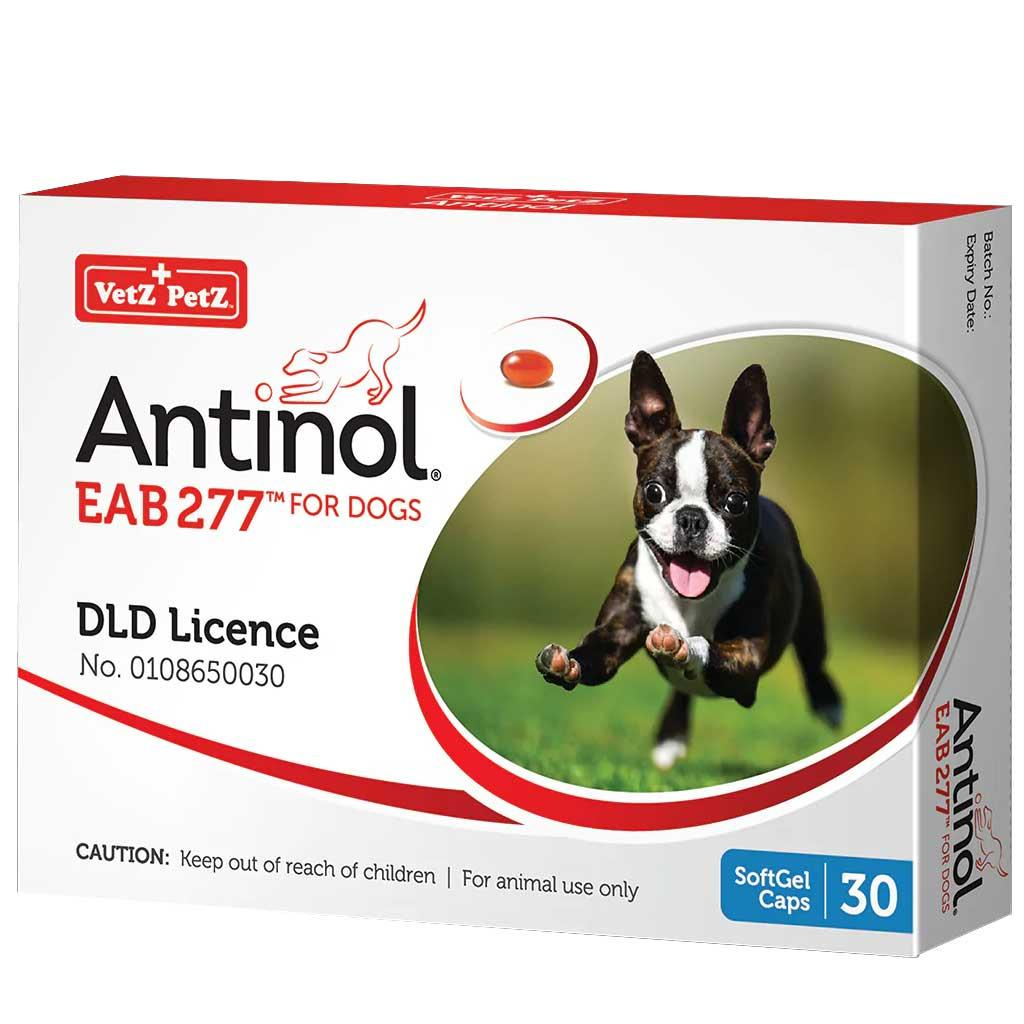 ของแท้Antinol DOG 30 Capsules (หมดอายุ 09/2024) ผลิตภัณฑ์เสริมอาหารสำหรับโรคข้ออักเสบ แพ็คใหม่ 1 กล่อง 30 แคปซูล