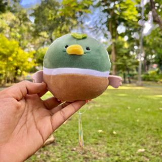 ตุ๊กตาเป็ด เป็ดแมลลาร์ด ตุ๊กตาเป็ด แมลลาร์ด  Mallard , wild duck Duck Plush Stuffed Animal เป็ดมาลลาร์ด เป็ดหัวเขียว