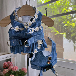 Daisy Jeans : Harness *พร้อมส่ง ราคารวมสายจูงแล้ว*