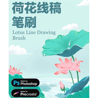 [Procreate / Ps Brush] 30 Lotus Line Drawing Brush