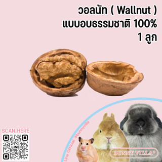 wallnut วอลนัทธรรมชาติ