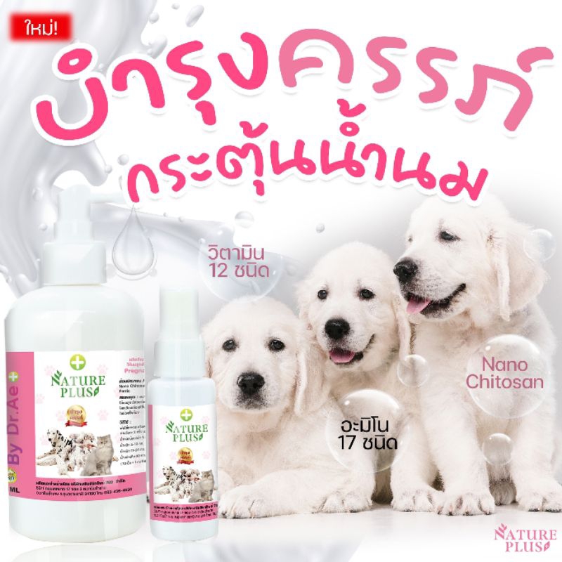 บำรุงครรภ์สุนัข แมว กระตุ้นน้ำนม ปรับสมดุลร่างกายในช่วงตั้งครรภ์