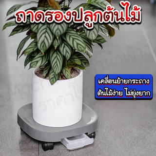 ถาดรองปลูกต้นไม้/Homebestbuy.th/สะดวกมีล้อเลื่อน ใช้งานง่าย