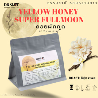 Yellow Honey Super Fullmoon ดอยผักกูด ชาติชายคะบู่