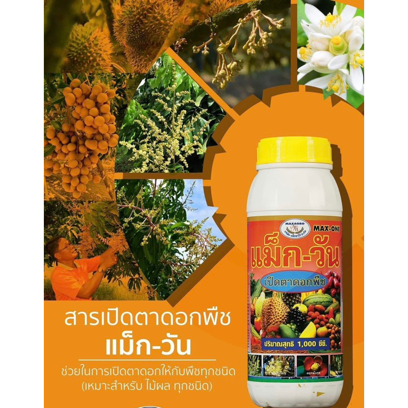 ธาตุอาหารเสริมเปิดตาดอก แม็กวัน 1ลิตร ตราแม็กซาโก้ ขั้วดอกเหนียว ติดดอก