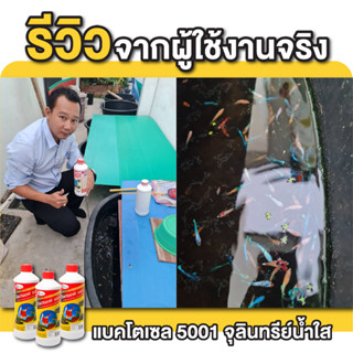 BACTOCEL  5001 12ขวด น้ำยาดับกลิ่น รักษาสภาพน้ำ ในบ่อปลา แบคโตเซล 5001  (1000 ml) ลดแอมโมเนีย ไนไตรท์ไนเตรท