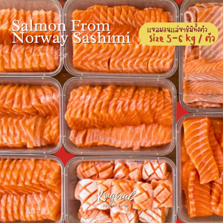 แซลมอนนอร์เวย์แล่ซาชิมิทั้งตัว ขนาดปลา Size 5-6kg. Salmon Norway Sashimi From Norway