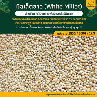 มิลเล็ตขาว White Millet เกรดA อาหารนก อาหารธัญพืชสำหรับนก (แบ่งขาย 250G / 500G / 1KG)